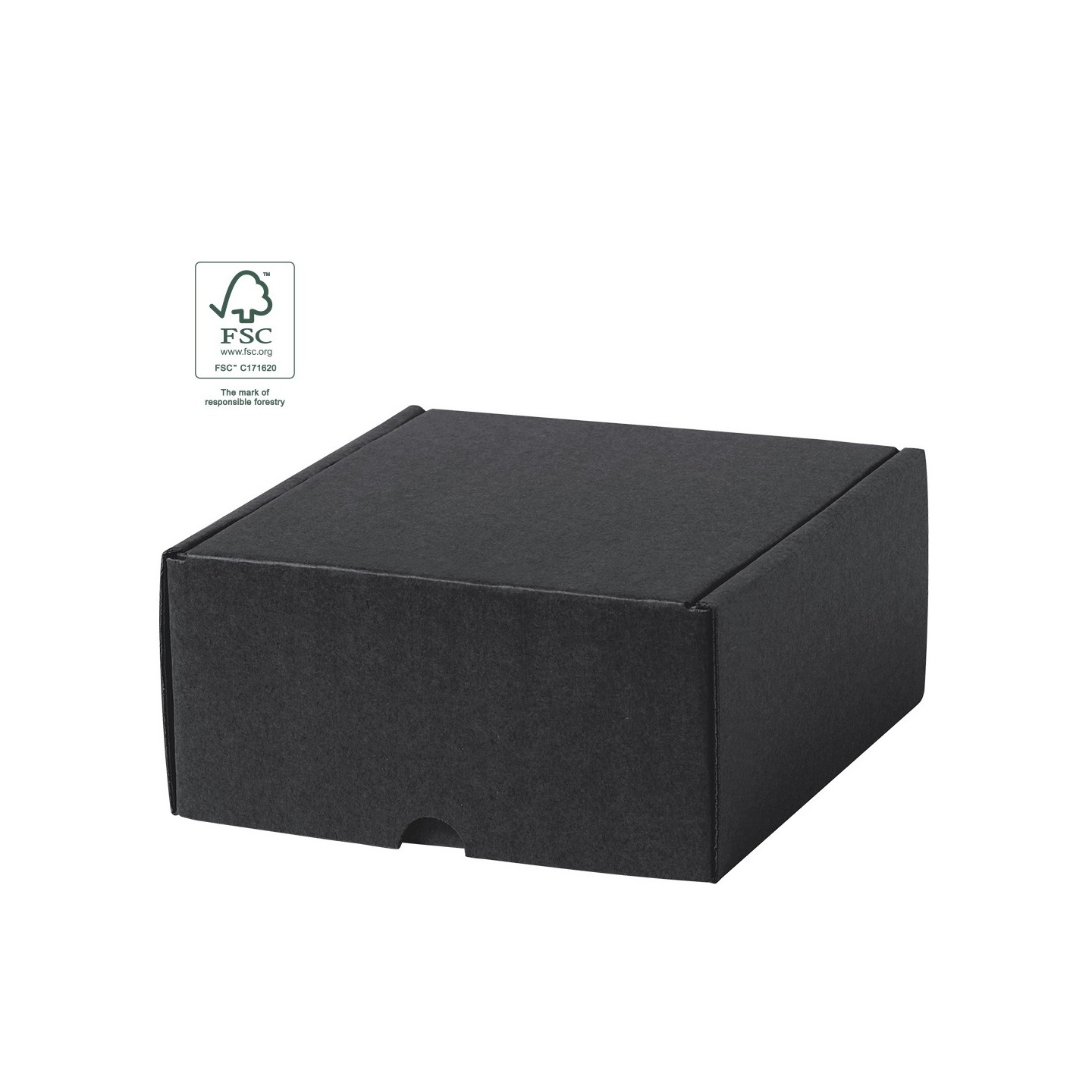 caja-presentacion-steffon